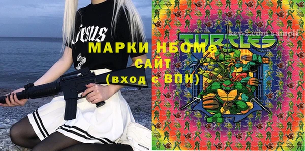 твердый Надым