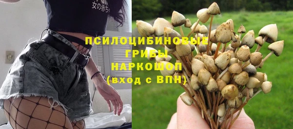 прущая мука Алексин