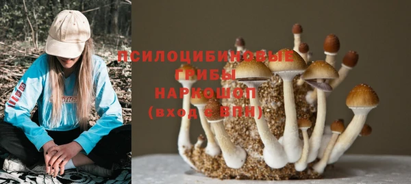 стафф Алзамай